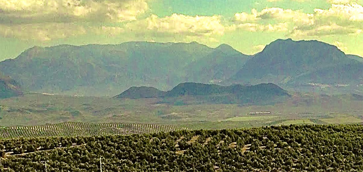 Mágina y el mar de olivos desde los Cerros de Úbeda - La Loma